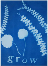 Load image into Gallery viewer, Sun Print Paper