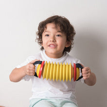 Load image into Gallery viewer, First Concertina