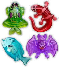 Load image into Gallery viewer, Dissect It Kits