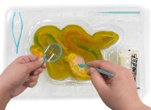 Load image into Gallery viewer, Dissect - It Rattlesnake Super Lab Kit