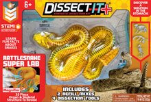 Load image into Gallery viewer, Dissect - It Rattlesnake Super Lab Kit