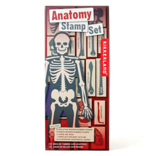 Load image into Gallery viewer, Anatomy Stamp Set box.