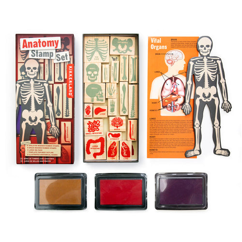 Depicts contents of set and packaging.  Stamps of bones are in green, organs in red.  Included pamphlet describes function of each organ.  Three colors of ink, and one skeleton outline!