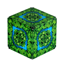 Load image into Gallery viewer, Shashibo Fidget Cube Brainteaser