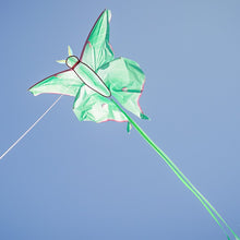 Load image into Gallery viewer, Luna Moth Kite