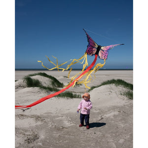 Ruby Butterfly Kite