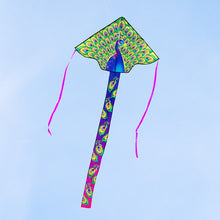 Load image into Gallery viewer, Simple Flyer Peacock Delta Kite
