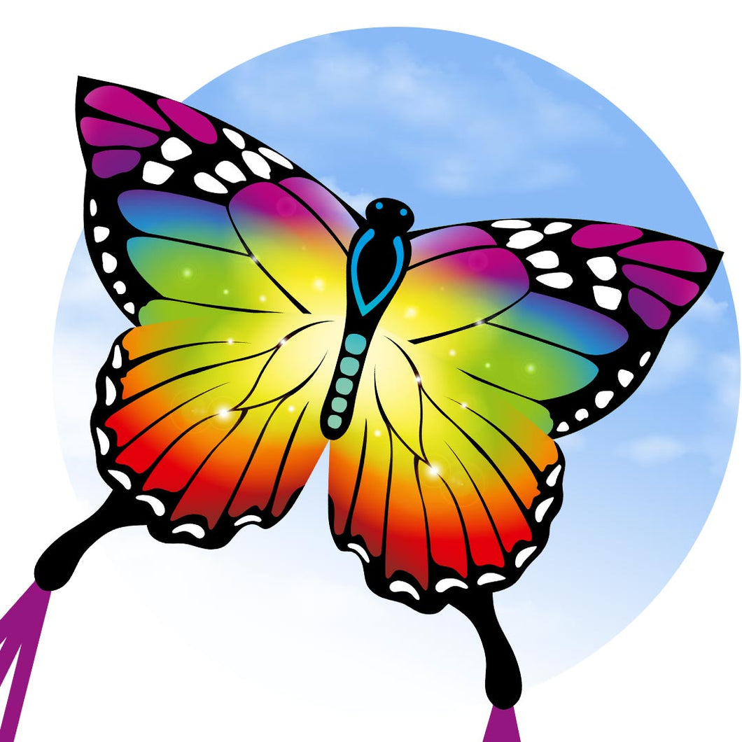 Rainbow Butterfly Kite