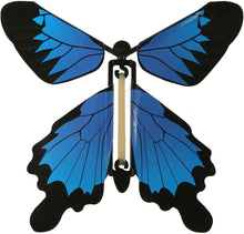 Load image into Gallery viewer, Image shows the Blue Morpho Butterfly variant.  The butterfly has blue wings bordered with black along the edges.
