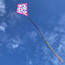 Load image into Gallery viewer, Bugs Kite
