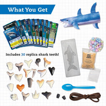 Load image into Gallery viewer, Shark Teeth Lab
