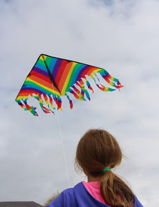 Rainbow Stripe Kite