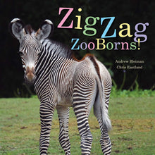 Load image into Gallery viewer, ZooBorns Books
