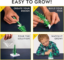 Load image into Gallery viewer, Crystal Garden Kit
