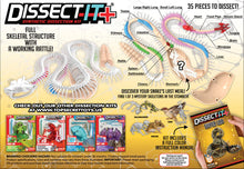 Load image into Gallery viewer, Dissect - It Rattlesnake Super Lab Kit
