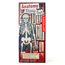 Load image into Gallery viewer, Anatomy Stamp Set box.  
