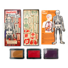 Load image into Gallery viewer, Depicts contents of set and packaging.  Stamps of bones are in green, organs in red.  Included pamphlet describes function of each organ.  Three colors of ink, and one skeleton outline!
