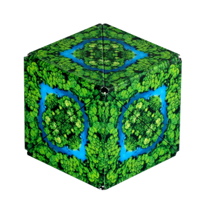 Shashibo Fidget Cube Brainteaser