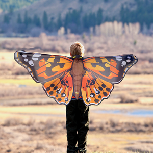 Image of a child wearing orange butterfly wings, arms fully extended.  Posed in front of a blurry, woodsy background (possibly greenscreen).