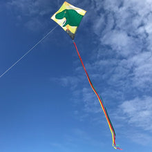 Load image into Gallery viewer, Dinosaur Diamond Kite

