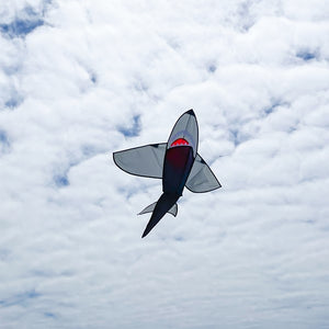 Shark Kite