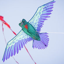 Load image into Gallery viewer, Hummingbird Kite
