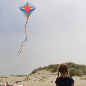 Parrot Diamond Kite