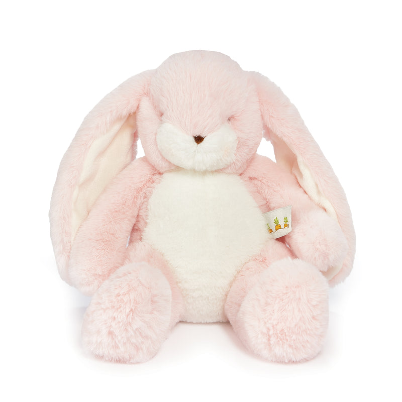 Stuffed Long Eared Pink Bunny