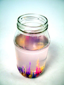Magic Rocks Crystal Growing Kit