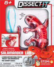 Load image into Gallery viewer, Dissect It Salamander
