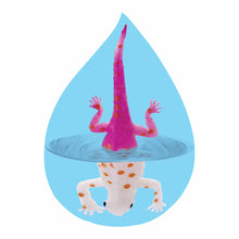 Load image into Gallery viewer, Color Change Chameleon (1)
