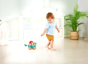 Roll n Rattle Kitten
