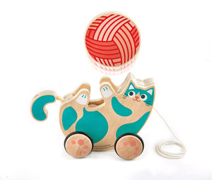 Roll n Rattle Kitten