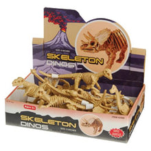 Load image into Gallery viewer, Six Inch Dinosaur Skeleton (1)
